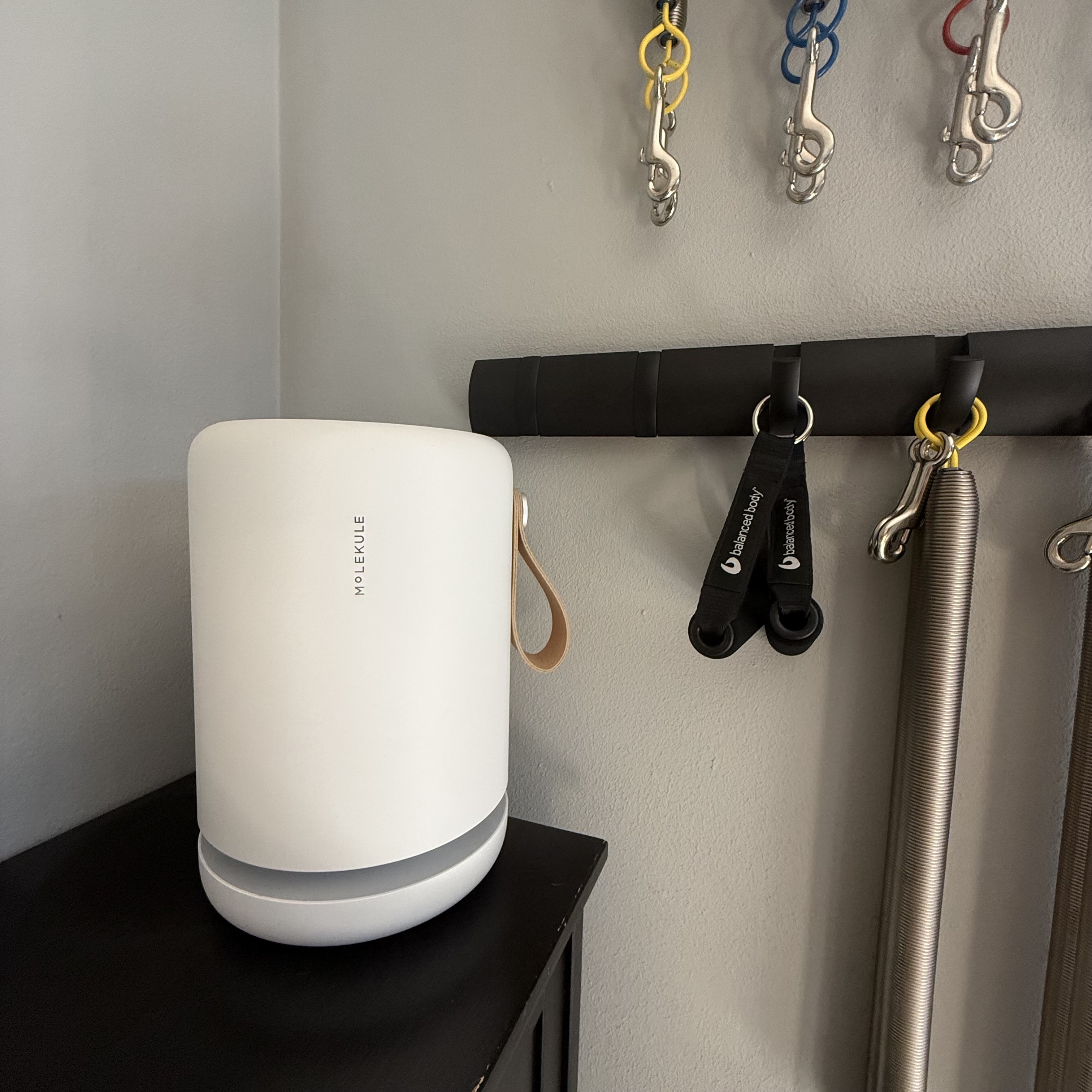 Molekule Air Purifier Mini+
